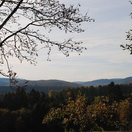 Landgasthof Gruss Brilon Kültér fotó