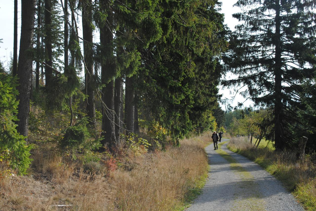 Landgasthof Gruss Brilon Kültér fotó