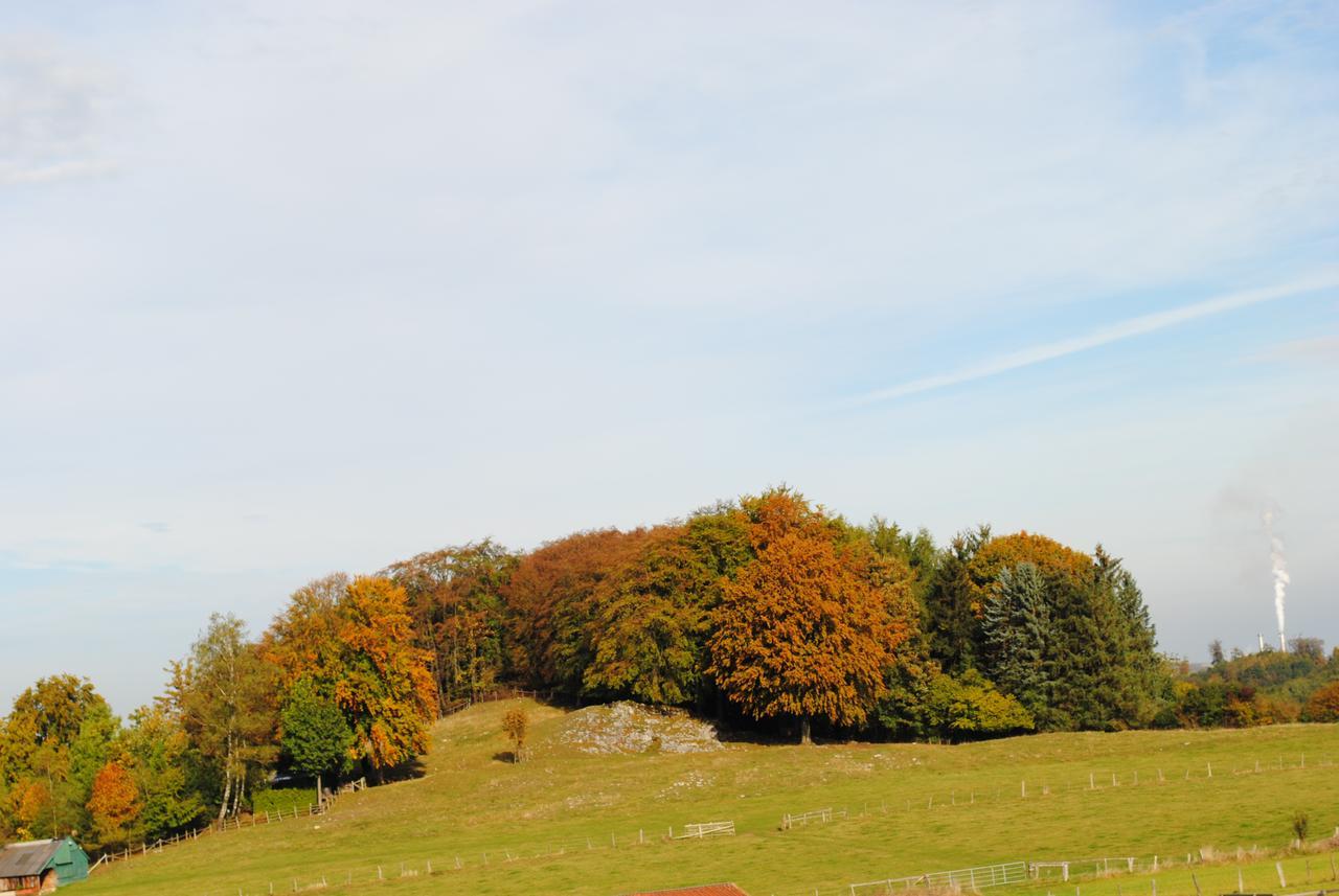 Landgasthof Gruss Brilon Kültér fotó